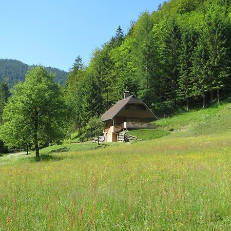 Apartmaji Brloznica Pod Veliko Planino Luče Camera foto